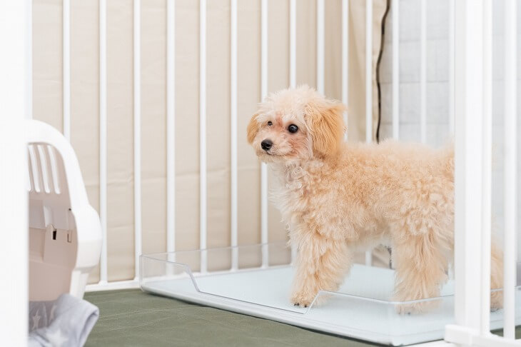 可愛いペットにもニオイは付きもの。エコカラットは、そんなペット臭にも優れた脱臭効果を発揮してくれる