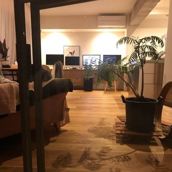 適度にコンクリートを露出させたリビング