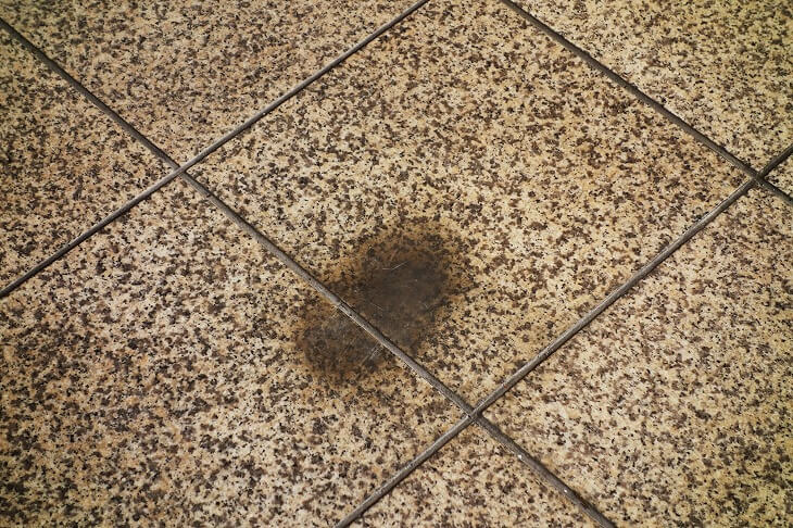 汚れが目立ちやすい