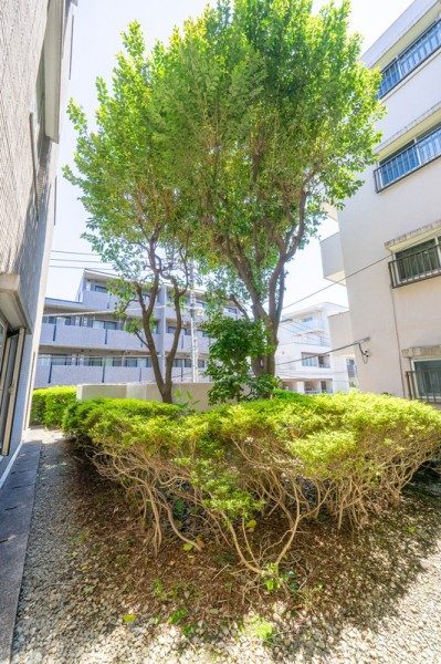 べラコリーナ夏目坂