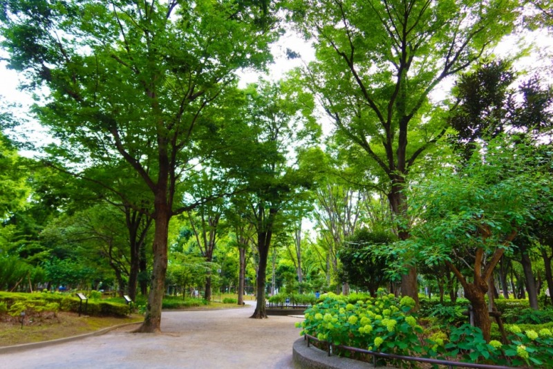 新宿中央公園